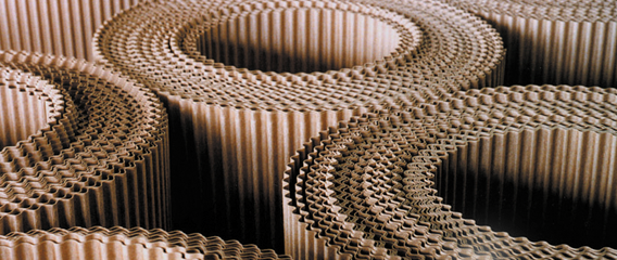 Corrugated Boards